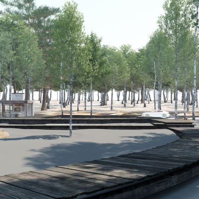 现代写实动画场景 公园散步 木栈道 草坪树林薰衣草 森林景观 白桦 南洋衫 红豆杉 冷杉云杉长白松槟榔钻