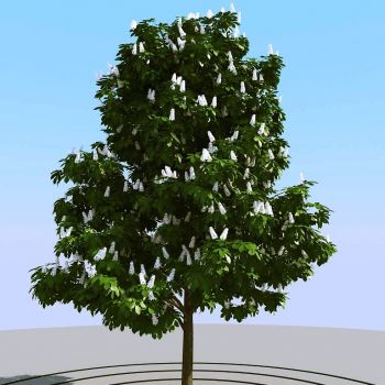 景观植物绿植墙3D模型