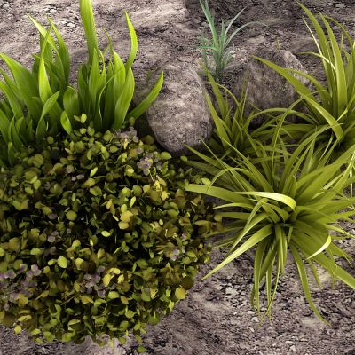 现代小草 土壤3D模型