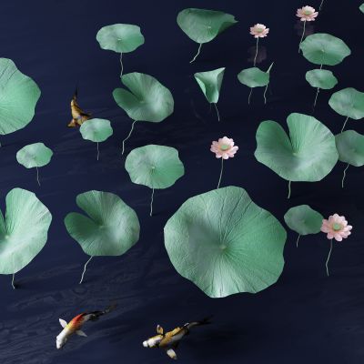现代荷花 金鱼