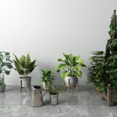 现代盆栽 洒水壶