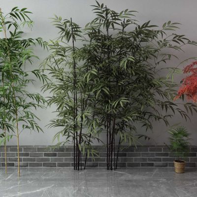 新中式竹子 红枫