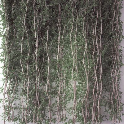 现代植物墙 藤蔓