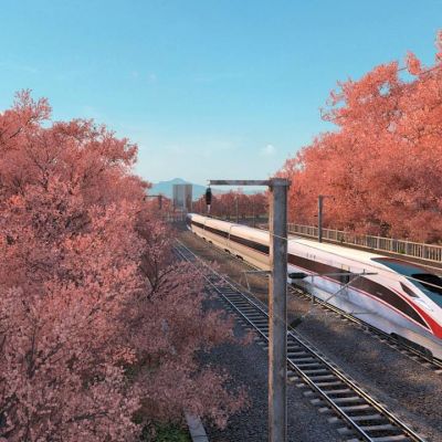 现代复兴号高铁穿越樱花林
