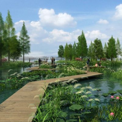 现代郊野公园湿地三维动画场景