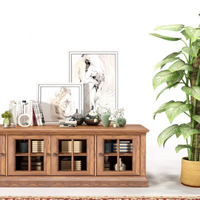 装饰柜电视柜组合