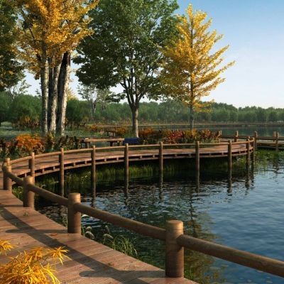 现代沿河步道郊野公园湿地