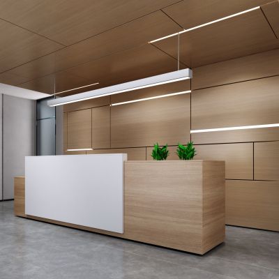 现代办公 大堂 前台