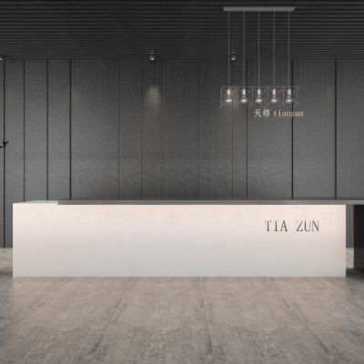 现代办公 大堂 前台