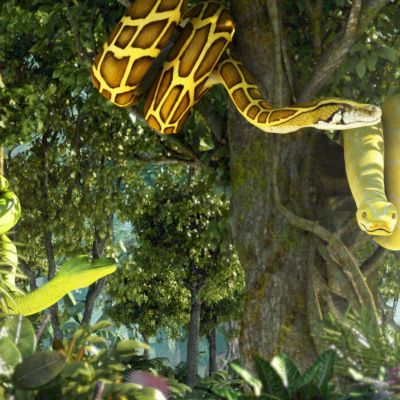 现代生态森林丛林蟒蛇场景