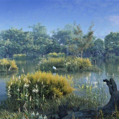 现代写实湿地公园