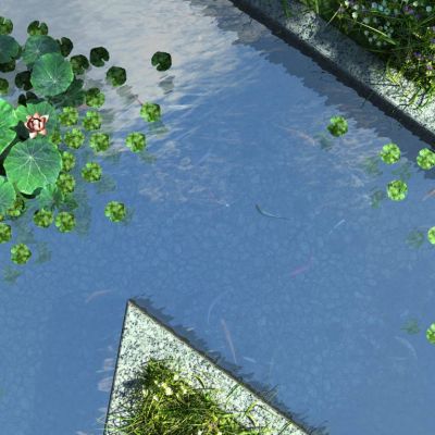 现代俯瞰荷花池