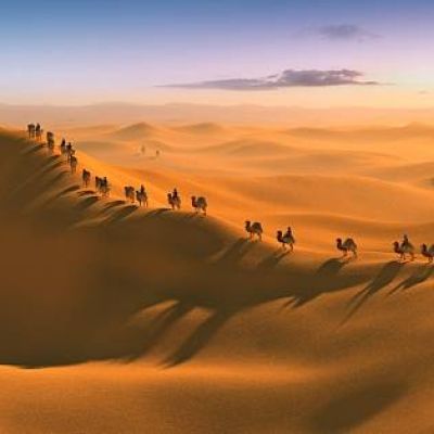 沙漠骆驼队