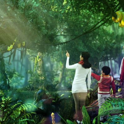 现代森林树林热带雨林