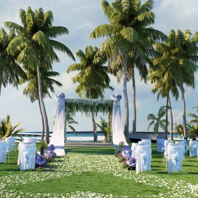 现代三亚婚礼场景结婚