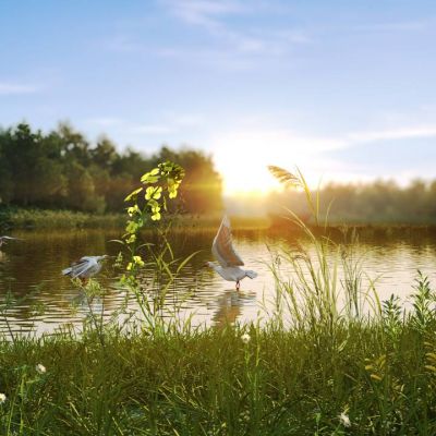 现代生态湿地公园