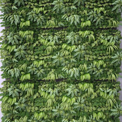 现代植物墙 藤蔓