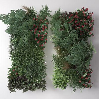 现代植物墙 藤蔓