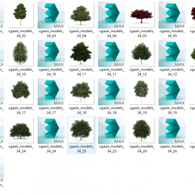 现代 落叶树木 大集合