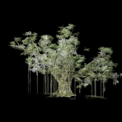 现代 热带植物 雨林植物 榕树 热带树木