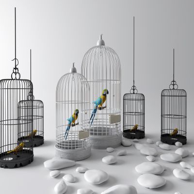 中式鸟笼 黄鹂 鹦鹉