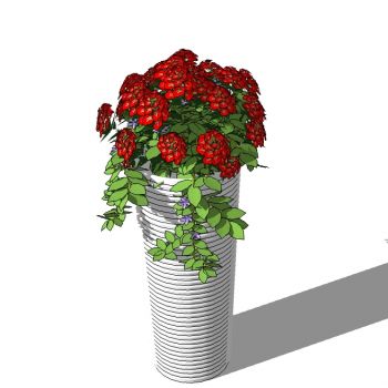 现代植物盆栽花钵花盆花槽