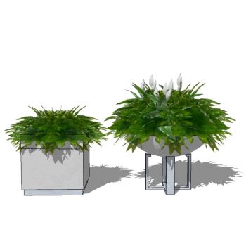 现代植物盆栽花钵花盆花槽