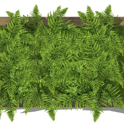 现代垂直绿化植物绿植墙植物墙