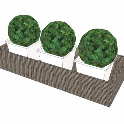 现代植物盆景花盆藤编编制花槽