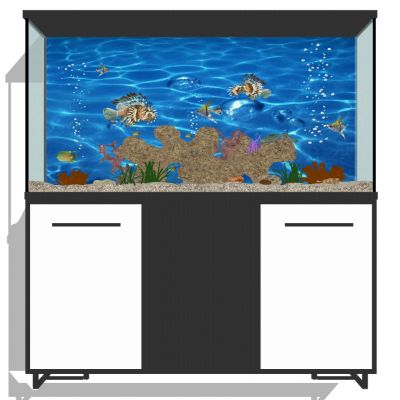 现代浴缸水族箱鱼珊瑚石头