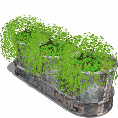 现代植物盆栽花盆花架花托盘