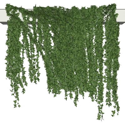 植物藤蔓植物绿植