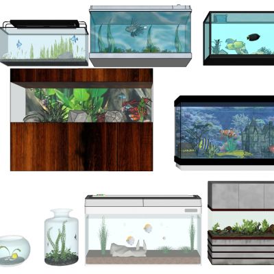 鱼缸水族箱
