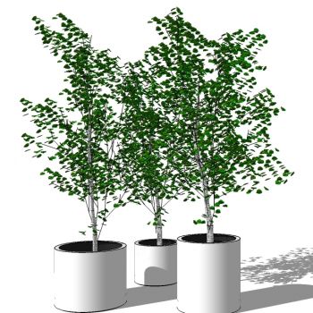 现代植物盆栽花钵花盆花槽