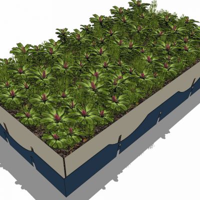 现代植物盆栽花槽