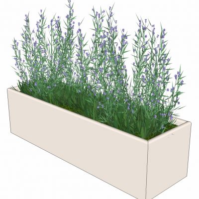 现代盆栽植物绿植花槽