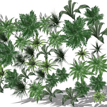 现代垂直绿化植物绿植墙植物墙