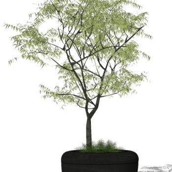 现代植物盆栽花钵花盆花槽