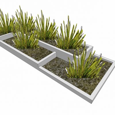 现代植物盆栽花盆花槽