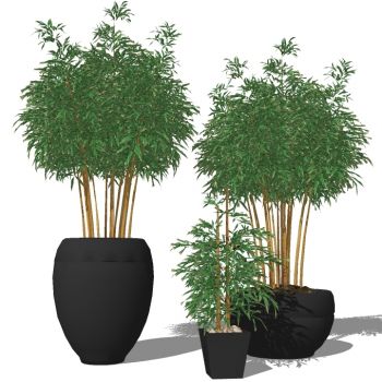 现代植物盆栽花钵花盆花槽