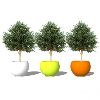 现代植物盆栽花钵花盆花槽