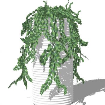 现代植物盆栽花钵花盆花槽