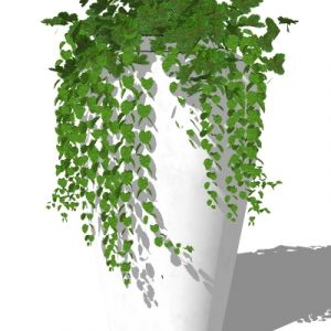 现代植物盆栽花钵花盆花槽b