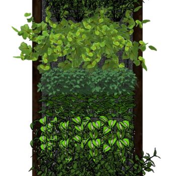 现代垂直绿化植物绿植墙植物墙