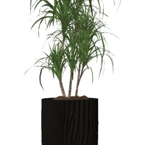 现代植物盆栽花钵花盆花槽