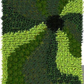 现代垂直绿化植物绿植墙植物墙