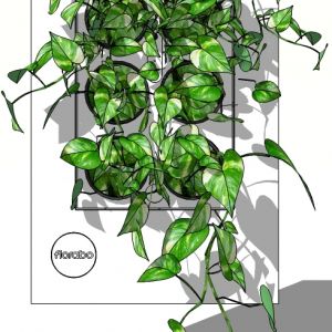 现代垂直绿化植物绿植墙植物墙