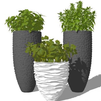 现代植物盆栽花钵花盆花槽