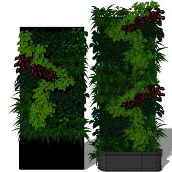 现代垂直绿化植物绿植墙植物墙