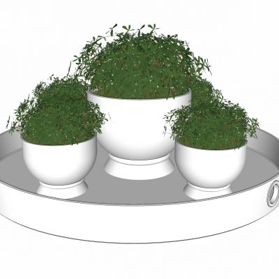 现代植物盆栽花盆花托盘